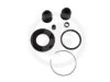 AUTOFREN SEINSA D4675 Repair Kit, brake caliper